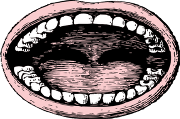 Cartoon Mouth Transparent Png - Stickpng Wide Open Mouth Png