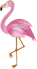 Flamingo Clipart - Flamingo Clipart Free Png