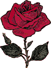 Red Outline Flower Cartoon Love Rose Rosa Free - Rose Cases For Iphone 6 Png