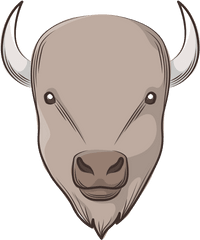 Buffalo - Bison Face Png
