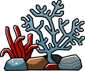 Coral Reefs Png Picture - Coral Reef Clipart Png