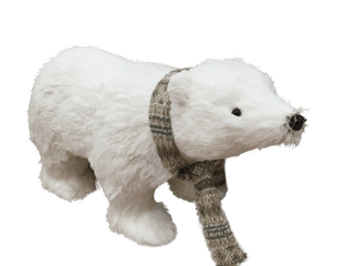 Polar Bear Png Transparent Images - Bears