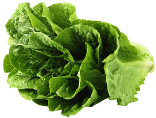 Lettuce Png 3 Image - Lettuce Png