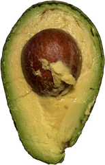 Avocado Transparent Image - Avocado Png