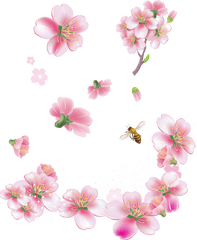 Download Pink Flowers Png - Png Spring Flowers