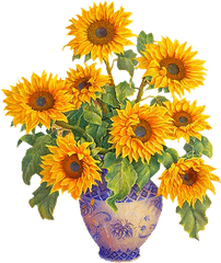 Watercolor Painting Common Sunflower - Sunflower Bouquet Sunflower Bouquet Drawing Png