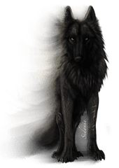 Sidonie - Anime Anime Transparent Wolf Png