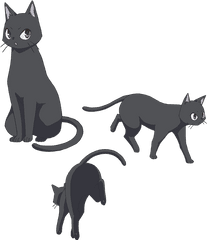 Download El Anime De Flying Witch - Flying Witch Anime Cat Png