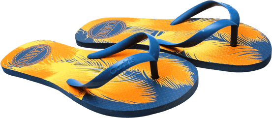 Flip Png Flops