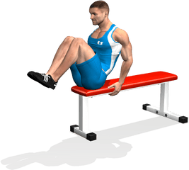 Download Seated Flat Bench Leg Pull In Involved Muscles - Addominali Bassi Su Panca Png