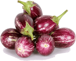 Brinjal Bunch PNG Free Photo