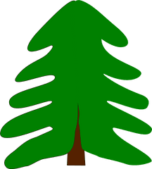 Cartoon Evergreen Tree Png Clipart - Pine Tree Cartoon