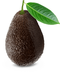 Home - Hass Avocado Board Avocado Png