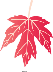 Nature Maple Leaf Symmetry For - Lovely Png