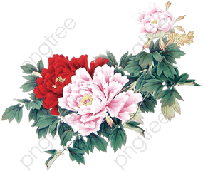 Minimalist Aesthetic Flowers Beautiful - Aesthetic Flowerrs Png