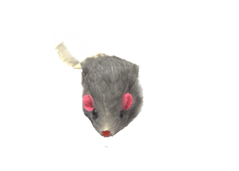 Mouse Animal Png - Soft