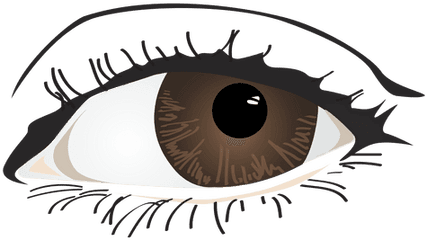 Brown Woman Eye - Vector Facial Features Png