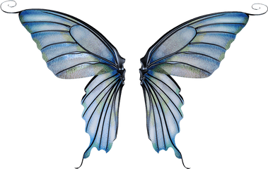 Download Fairy Wing Png - Fairy Wings Transparent Background Transparent Background Fairy Wings Transparent