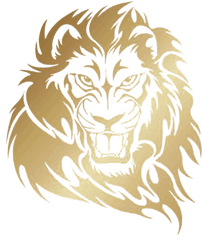 Png Transparent Lion Assis - Lions Entertainment