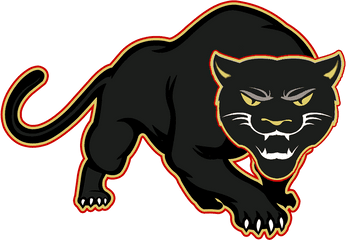 Library Of Panther With Football Clip Png - Illustration