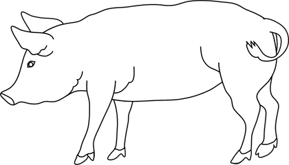 Pig Outline Png Transparent Background - White Pig Png