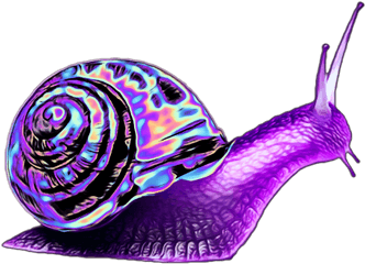 Download Purple Snail Png Image With No Background - Pngkeycom Animal Has One Leg