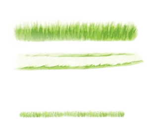 Watercolor Handpainted Grass Sticker By Stephanie - Horizontal Png