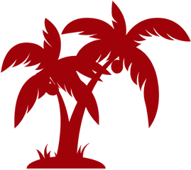 Vast Oceans Surf And Sup School - Stencil Design Palm Tree Png