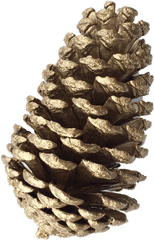 Pine Garland Png - Close Christmas Pine Cones Png Christmas Pine Cone Png