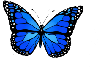 Blue Butterfly Png - Black And Gold Monarch Butterfly