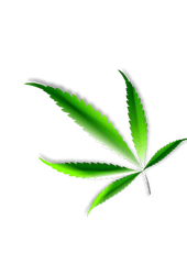 Weed Leaf Transparent Png - Cannabis Leaf Transparency