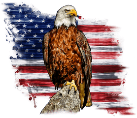 American Flag Eagle Transparent U0026 Png Clipart Free Download Background