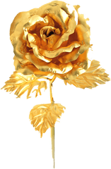 Gold Rose Psd Official Psds - Lovely Png