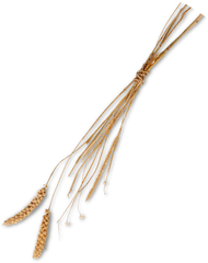 Grass Straw Png Image - Grass Straw Png