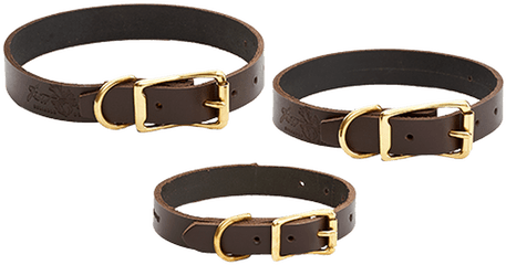 Dog Collars - Buckle Png