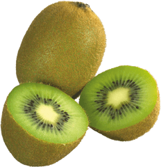 Kiwi Png In High Resolution Web Icons - Kiwi Fruit Images Download