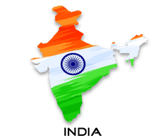 Bharatiya Sabha Lok India General Election, Indian - Free PNG