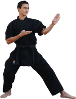 Fighter Karate Photos Black Male Belt - Free PNG