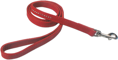 Leash Png - Belt