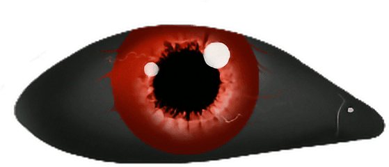 Eye Ojo Red Sasuke Sharingan Rojo - Creepy Eyes Transparent Background Png