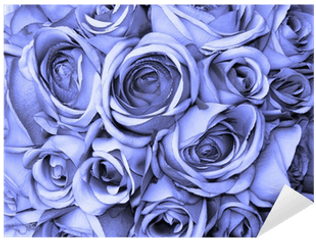 Blue Roses Sticker U2022 Pixers - We Live To Change Rose Png