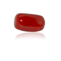 Coral Gem Red Free PNG HQ