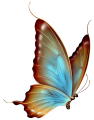 Transparent Butterfly Clipart - Transparent Background Butterfly Clipart Png