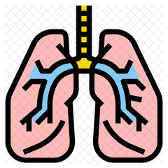 Lung Icon - Clip Art Png