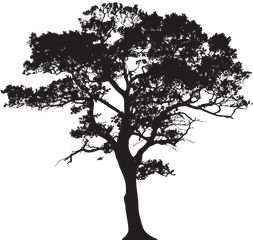 Forest Clipart Dense Transparent Png Tree