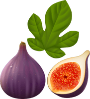 Fig HQ Image Free - Free PNG