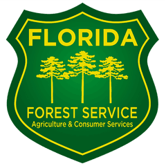 Florida - Florida Forest Service Graphic Png