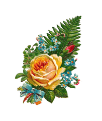 Real Flowers Png Images Hd - Png Birthday Flower