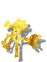 U2 Joshua Tree Weekender Tote Bag For - Joshua Tree En Png