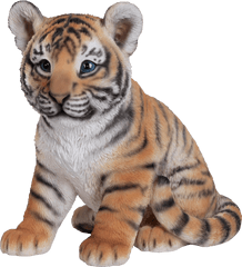 Tiger - Baby Tiger Png